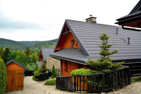 Alpejskie Domy Ski House